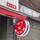 카페윤스