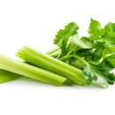 셀러리 이미지