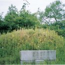 새터 마을회관 이미지