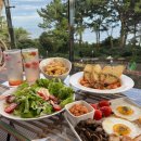 데이지브런치 이미지