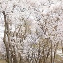 재다디자인