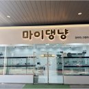 강아지분양 마이댕냥 일산점 이미지