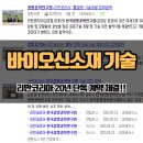 제니의 인셀덤 네이버블로그