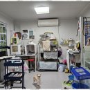 퍼피살롱 이미지