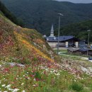 리산애 감성여행 Daum카페
