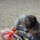 선덕여왕릉 화장실 이미지