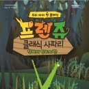 프렌쥬 클래식 사파리 이미지