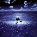 그랑블루 이미지