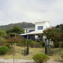 강아지분양 고양이분양 컴투펫 수원점 | 수원 강아지 무료 분양: 컴투펫케어센터에서 새 가족을 만나는 방법