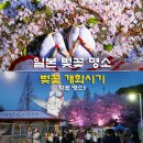 주미장원 - 순천시 좌야로 135 | 오사카 교토 벚꽃 개화시기 2019 일본 벚꽃 명소