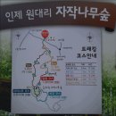 8.8(토)인재자작나무숲&amp;내린천레프팅---혀니 이미지