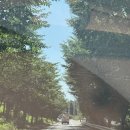 제부도 나미네 풀빌라펜션 이미지