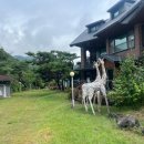 동가래별빛 - 5631 | 동가래별빛