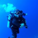 날으는돈까스 이미지