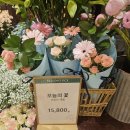 💐고속터미널역꽃집 러블리 핑크 꽃다발 픽업 후기│바나플라워 신세계강남꽃집 햇살장미 꽃말 ft...