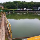 새봉낚시터 이미지