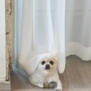 온탑스튜디오 이미지
