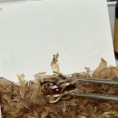 타코야끼인문어 이미지