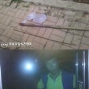 마! 주인 이미지