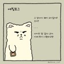 강아지삼촌 이미지