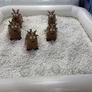 산본로369번길 네이버블로그