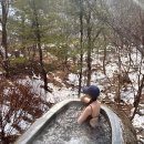 푸른숲황토방 | 제천 포레스트 리솜 S25 빌라 클린 숙박 후기