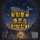 아이샤팩토리 | 광명동굴 드론쇼, 주차 꿀팁으로 후회 없을까요?