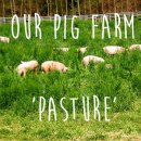 정상골농장 이미지