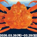 행정용 26 이미지