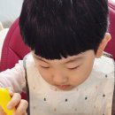 땡스댕이