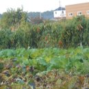 유주공인중개사사무소 이미지