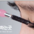 화사한속눈썹