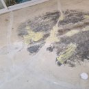 수원-0762 이미지