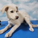 점곡보건지소 이미지