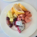 도림하나동물병원 이미지