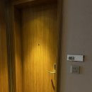 큐Q무인호텔 | [대전 호텔] '롯데시티호텔 대전' 내돈내산 솔직후기 (성심당 꿀팁! / 스탠다드룸, 부대시설 소개)