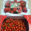 헤브론농장 이미지