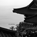 금산-30 Daum카페