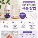 식품안전솔루션 | 락토핏 솔루션 프라임 효과, 가격, 복용법까지 한 번에 정리! 직접 먹어본 후기