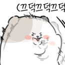 해뜨는바다펜션민박 네이버블로그