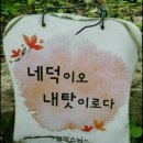 한성대학교 행정대학원 이미지