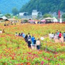 평창밧데리 이미지