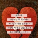 로제타스톤영어교실