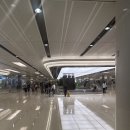 싱가폴 | ✈️싱가폴 공항 픽업 후기