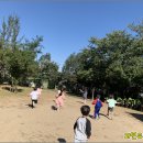 숲아이유치원 이미지