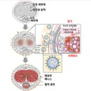 메디팜미소약국 이미지