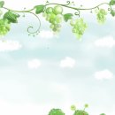 힐링M테라피 - 울진군 후포로 76 | 힐링M테라피