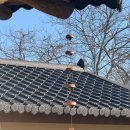 담양한옥에 이미지