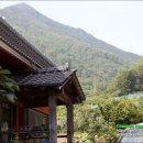 왕사성산장