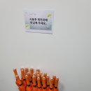 어바웃네이처